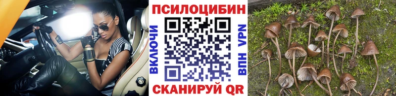 Купить  Березники  Галлюциногенные грибы мухоморы 
